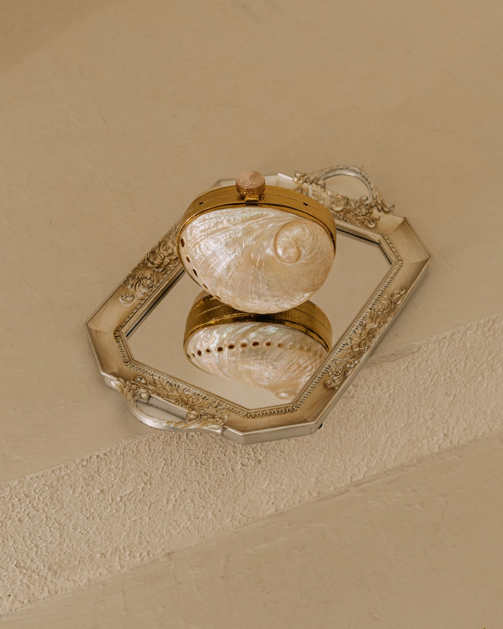 The Aurelia Shell Clutch