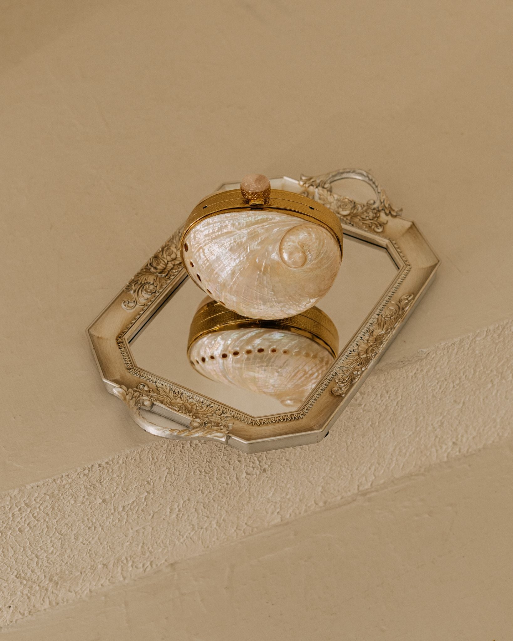 The Aurelia Shell Clutch