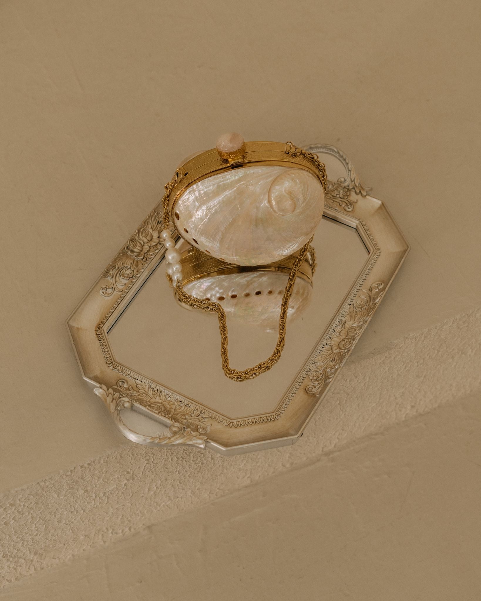 The Aurelia Shell Clutch